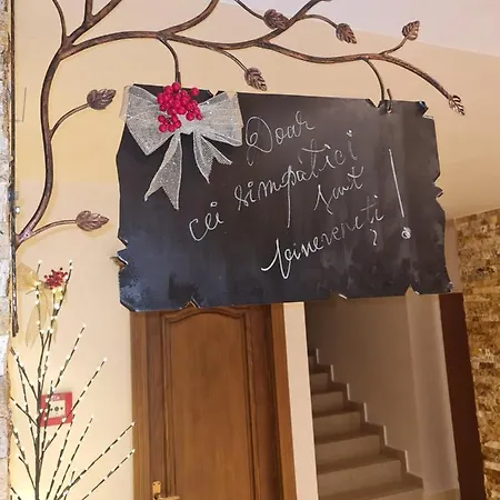 7soapte Timisu de Jos