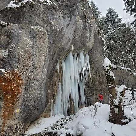 7soapte Hotel Timisu de Jos
